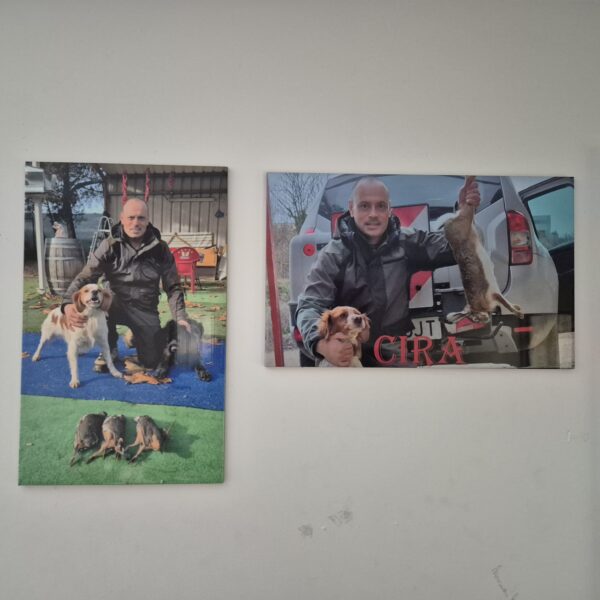 Imagen #1 de Santiago Llorente Gómez